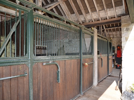Luxury Own Horse Stay in Wiltshire
